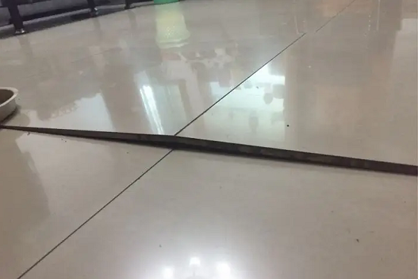 地砖翘起来了怎么修复(一块地砖翘起来了怎么修复) 地砖翘起来了怎么修复(一块地砖翘起来了怎么修复)